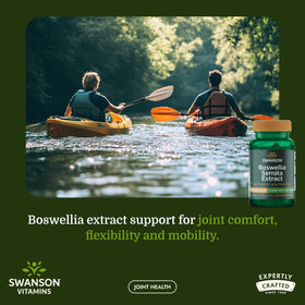 Flacon de Swanson Extrait de Boswellia Serrata avec capsules
