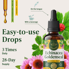 Flacon de teinture d'Echinacea Goldenseal HERBAMAMA avec étiquette