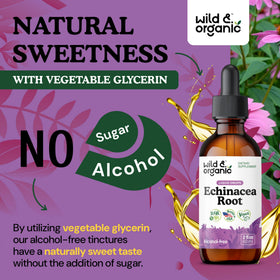 Flacon de teinture d'échinacée Wild & Organic avec goutte à goutte