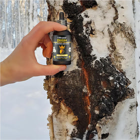 Flacon de teinture de champignon Chaga Life Cykel avec Prune Kakadu