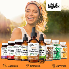Flacon de teinture de champignon chaga Wild & Organic sur une table en bois