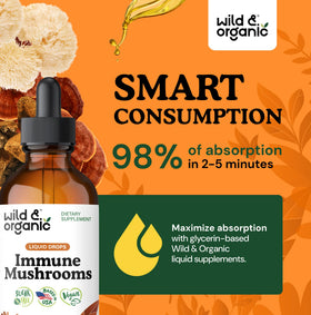 Flacon de teinture de champignons Wild & Organic sur une table en bois