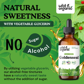 Flacon de teinture de Goldenseal Wild & Organic 500 mg, avec une cuillère doseuse