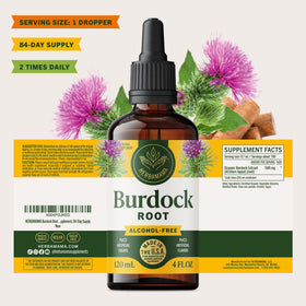 Flacon de teinture de racine de bardane HERBAMAMA avec dosage recommandé