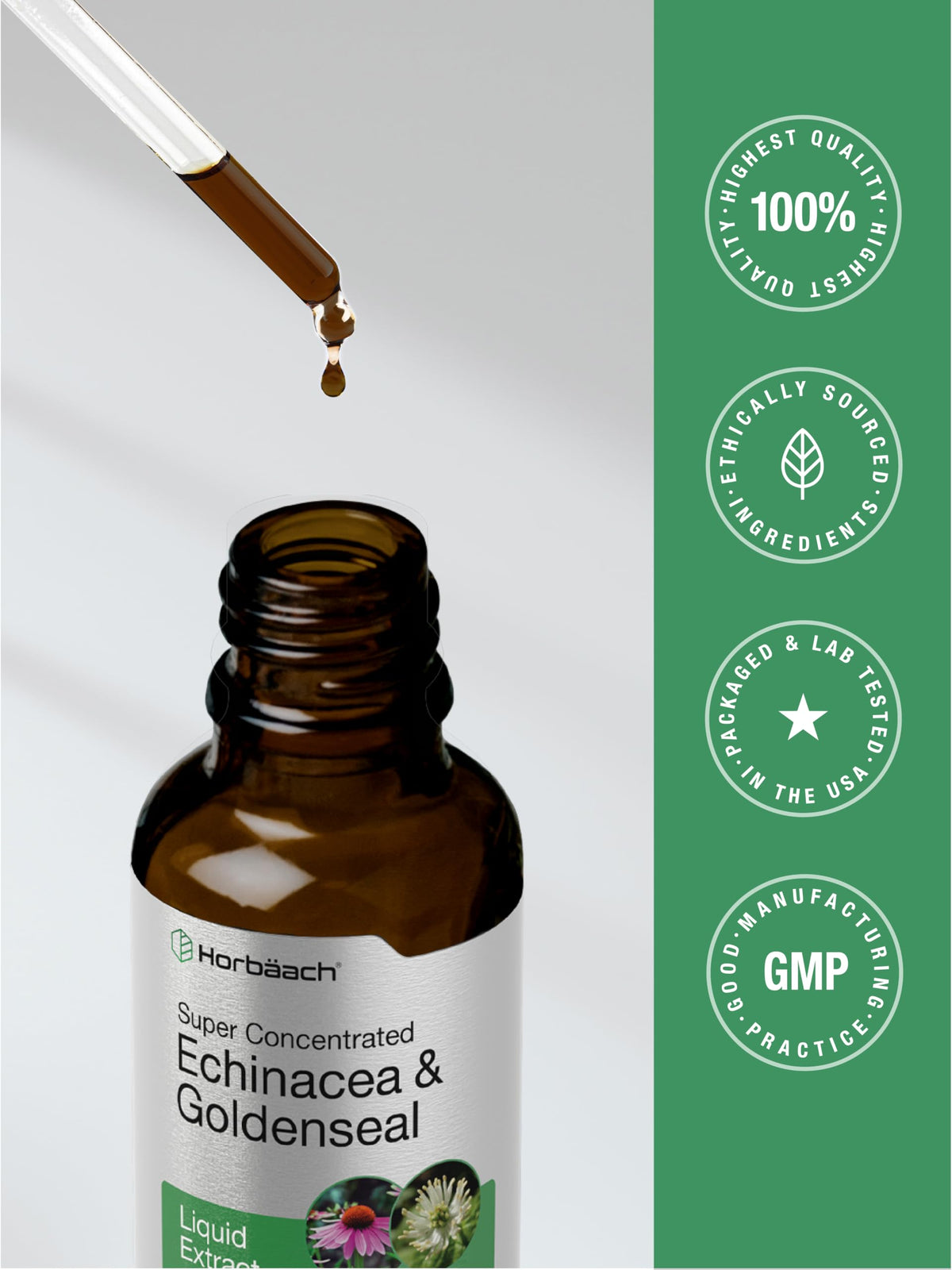 Flacon de teinture Echinacea Goldenseal en contexte de bien-être