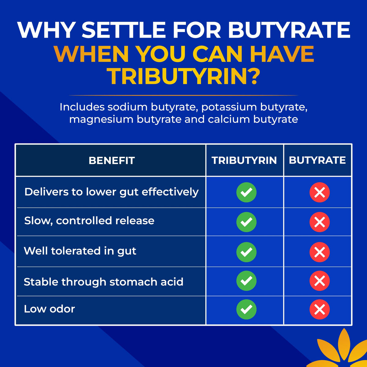 Flacon de Tributyrin ouvert avec capsules visibles