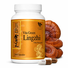 Flacon de Vita Green Champignon Lingzhi avec 240 capsules