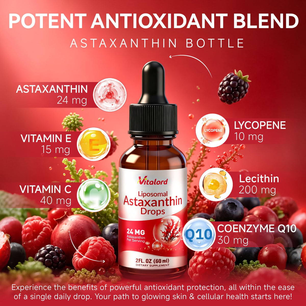 Flacon de Vitalord Astaxanthin Liposomal 24mg avec étiquette visible
