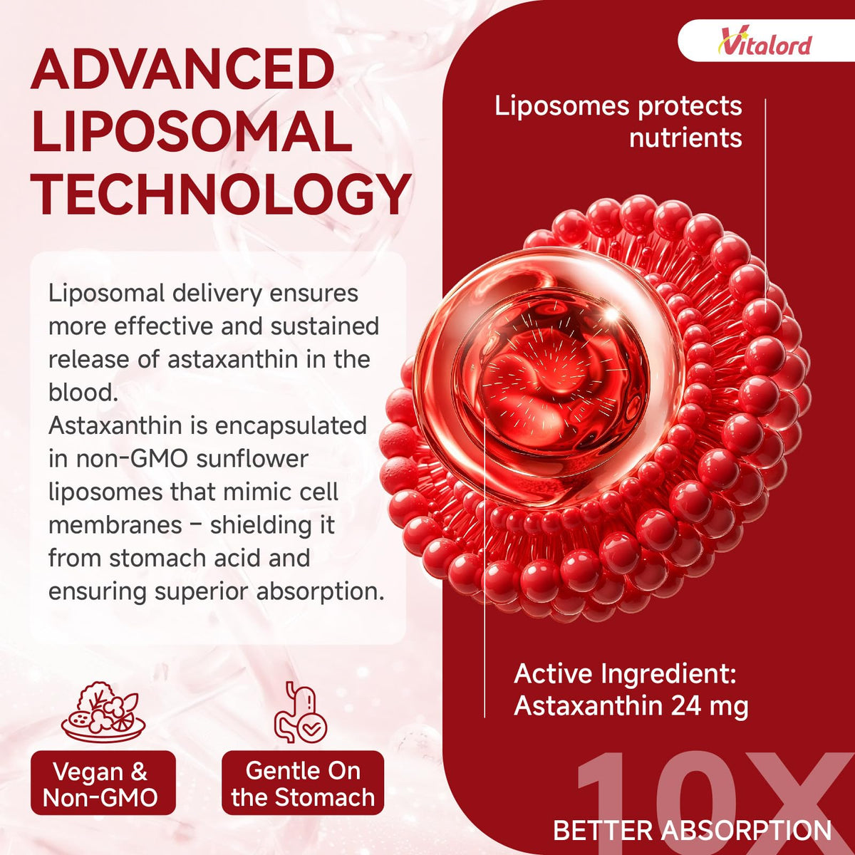 Flacon de Vitalord Astaxanthin Liposomal 24mg avec gouttes sur une cuillère