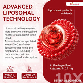 Flacon de Vitalord Astaxanthin Liposomal 24mg avec gouttes sur une cuillère