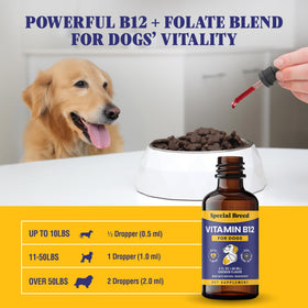 Flacon de Vitamine B12 Liquide Special Breed avec une cuillère doseuse