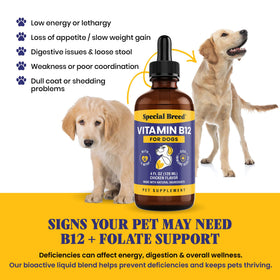 Flacon de vitamine B12 Special Breed avec étiquette visible