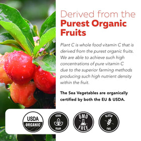 Flacon de Vitamine C Bio Triquetra Health avec une cuillère doseuse