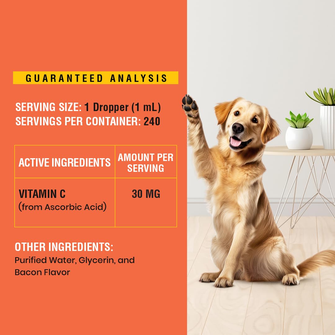 Flacon de vitamine C liquide pour chiens sur une surface en bois