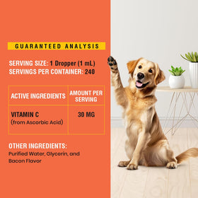 Flacon de vitamine C liquide pour chiens sur une surface en bois