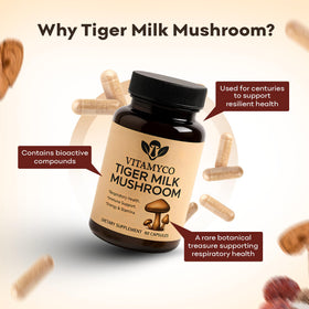 Flacon de Vitamyco Champignon Lait Tigre avec capsules