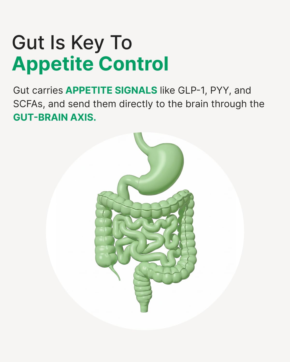 Flacon de WonderBiotics GLP-1 avec des capsules à côté