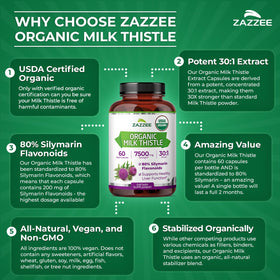 Flacon de Zazzee Chardon-Marie avec capsules en dehors