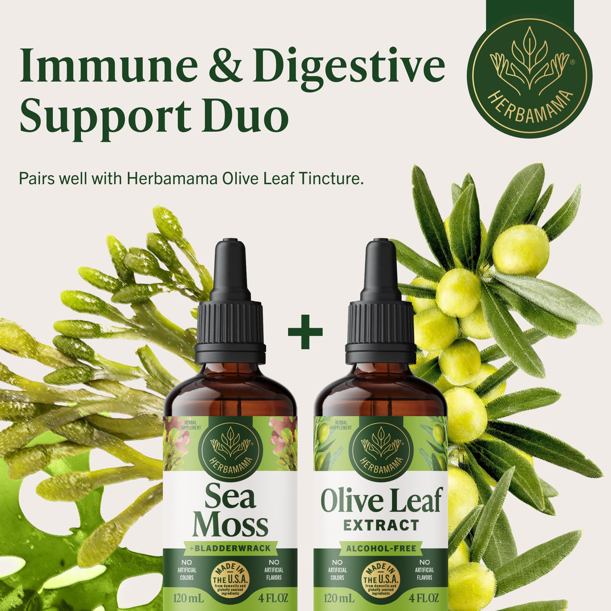 Flacon des gouttes d'Irish Sea Moss HERBAMAMA ouvert
