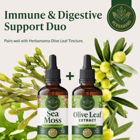 Flacon des gouttes d'Irish Sea Moss HERBAMAMA ouvert
