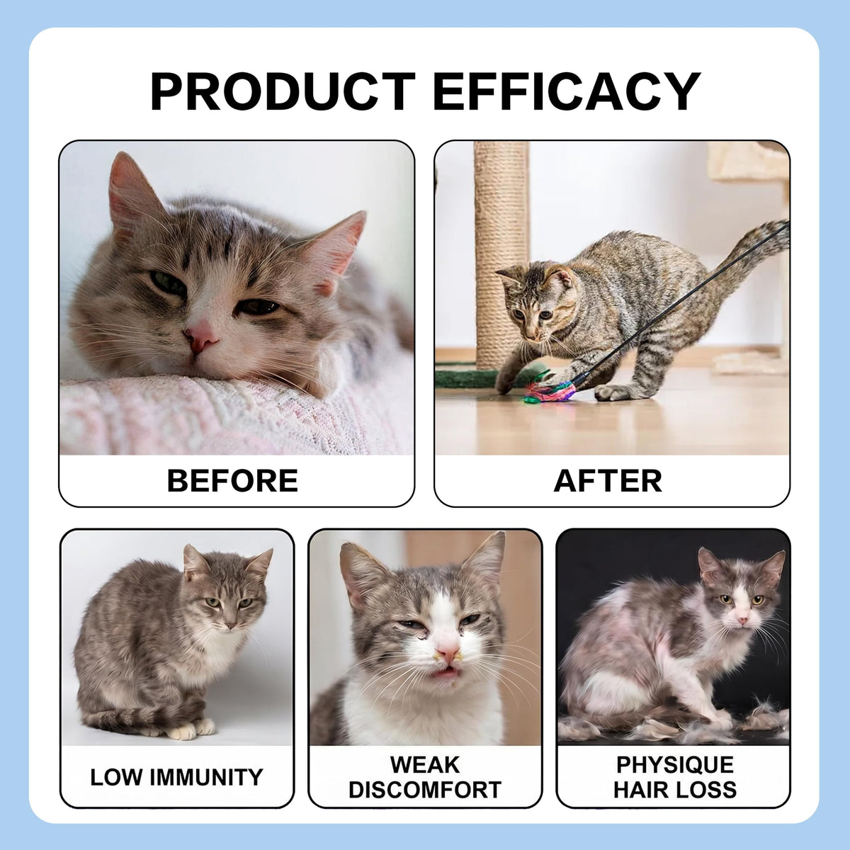 Flacon EFWEL L-Lysine pour chats avec bouchon spray