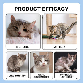 Flacon EFWEL L-Lysine pour chats avec bouchon spray