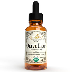 Flacon en verre de 2 oz de complément à base de feuille d'olive Khroma