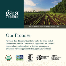 Flacon Gaia Herbs avec des feuilles d'olivier en arrière-plan