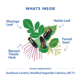 Flacon More Milk Moringa sur un fond naturel