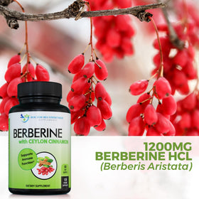 Flacon ouvert de Berberine avec Cannelle de Ceylan, capsules visibles