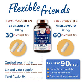 Flacon ouvert de probiotiques Lactobacillus Salivarius avec capsules visibles