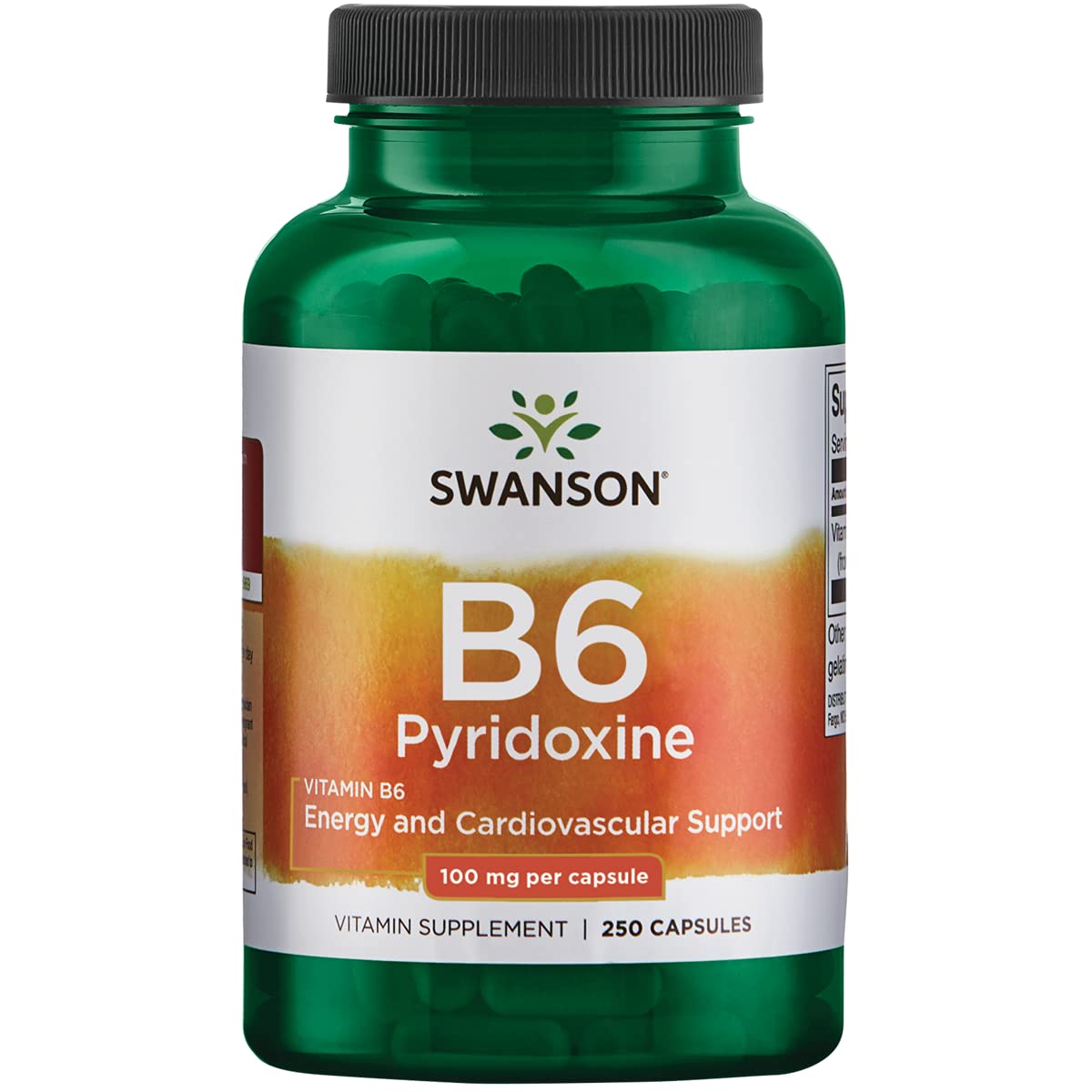 Flacon Swanson B6 Pyridoxine 100 mg 250 capsules vue de face