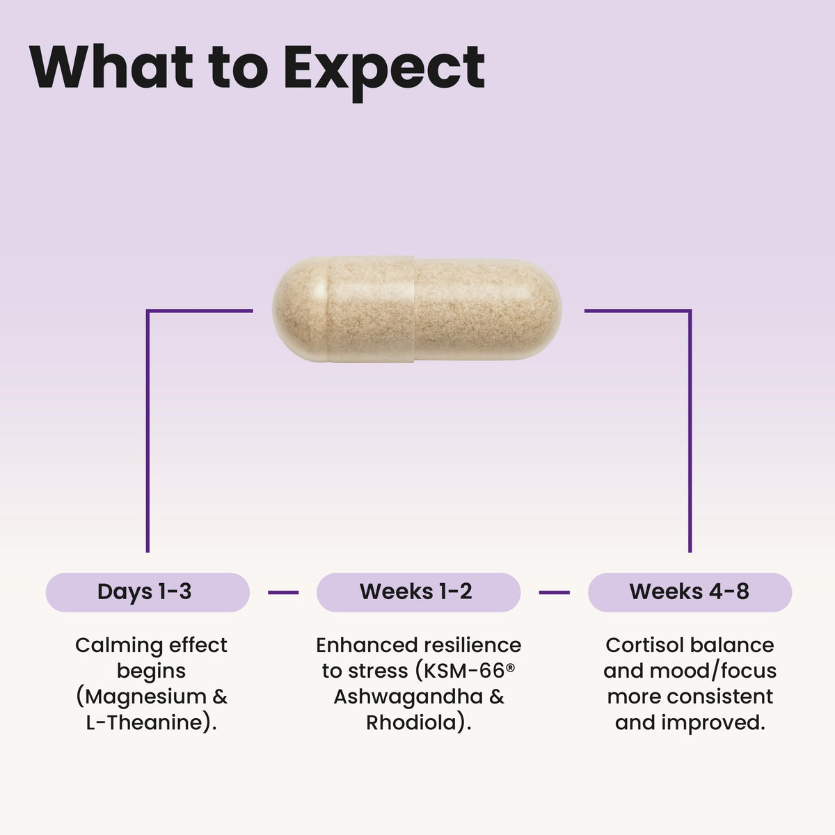 Flacon WellPath Compléments Cortisol sur un fond naturel