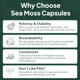 Flacons de mousse de mer sauvage Organics Ocean, présentation