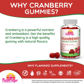Flamingo Supplements Gummies de Canneberge, gros plan sur les gummies