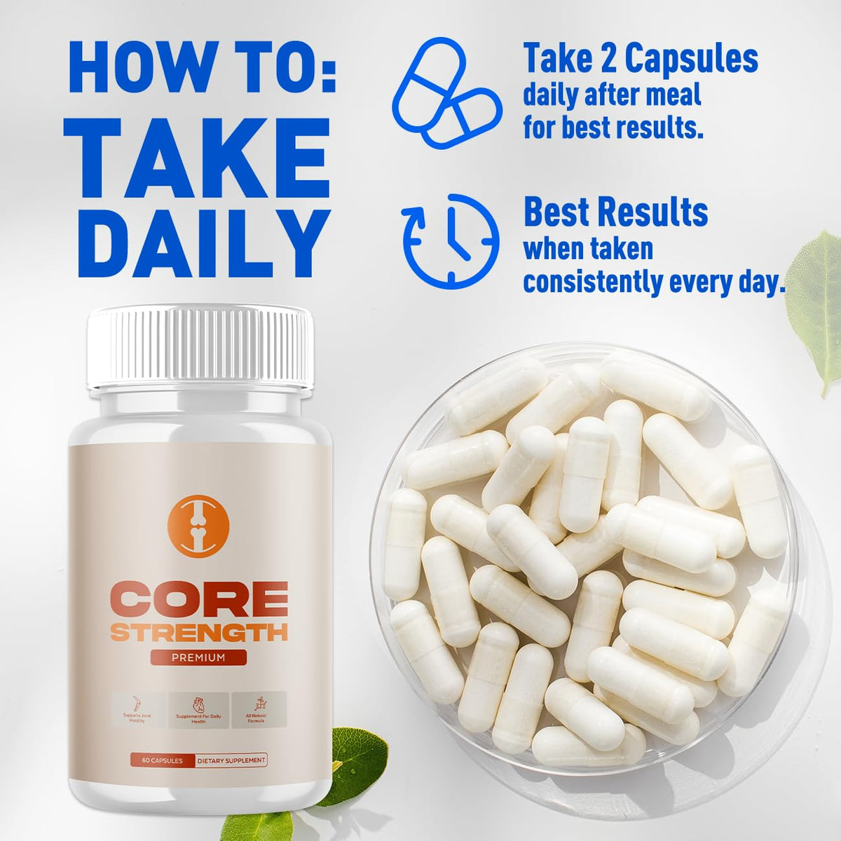 Flex University Complément Alimentaire Force de Base capsules sur fond blanc