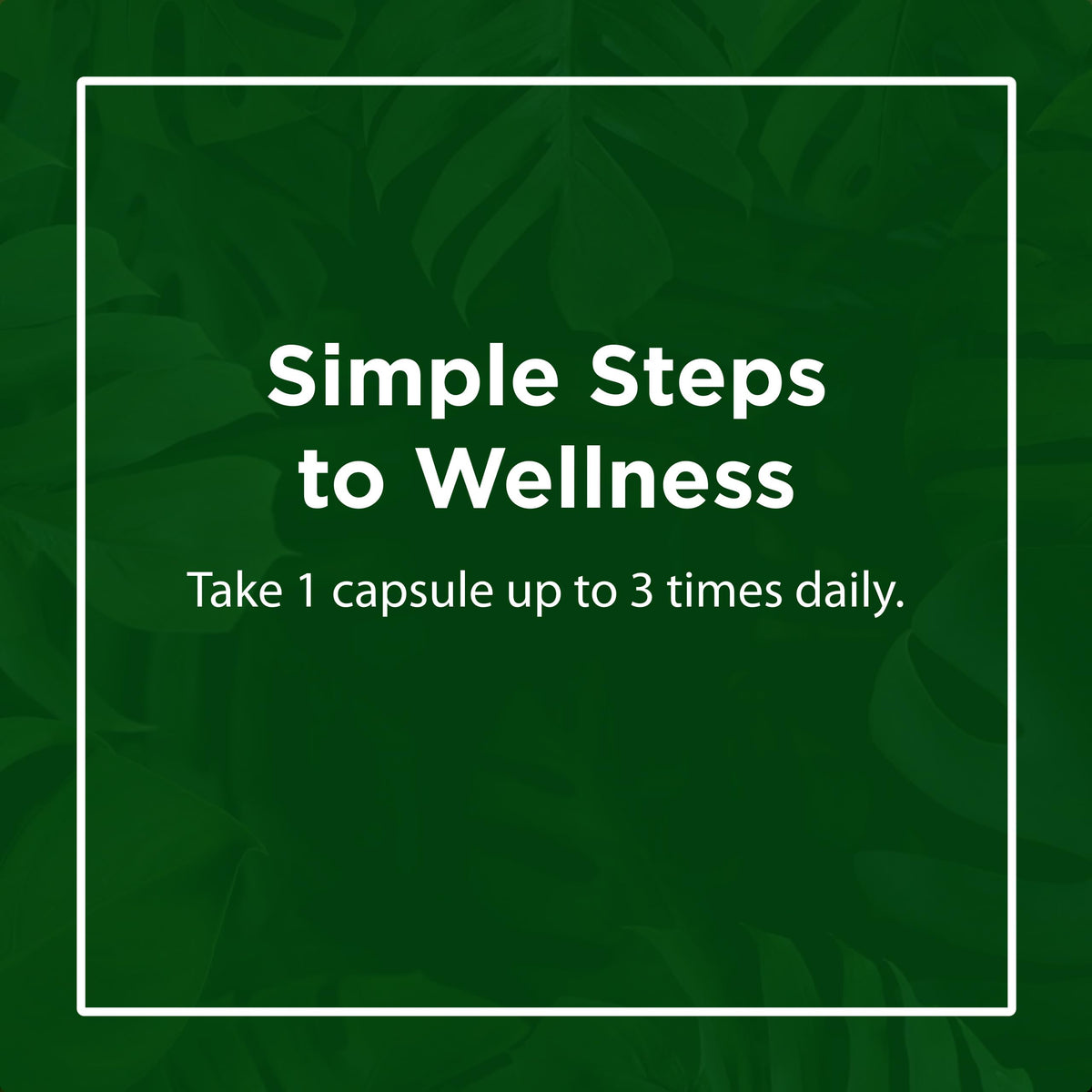 Flora Enzymes daily Quotidiennes 60 Capsules Végétales avec d'autres compléments