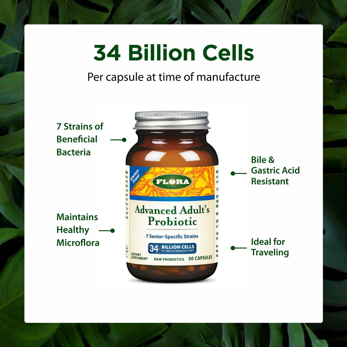 Flora Probiotique Avancé Adultes 55+ capsules ouvertes