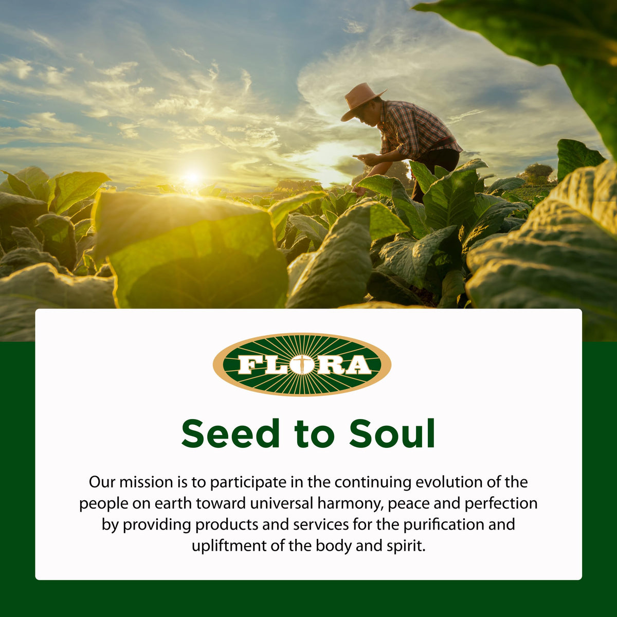 Flora Super Bifido Plus Probiotique avec d'autres compléments alimentaires
