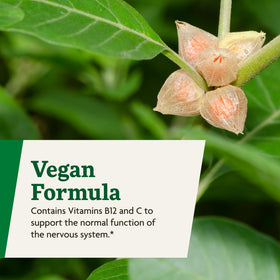 Floradix Ashwagandha liquide dans un environnement naturel