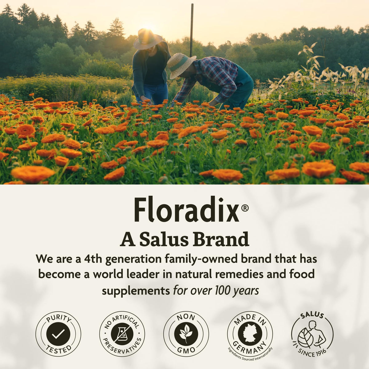 Floradix Complément Alimentaire Calcium 200 mg, mise en scène avec des plantes