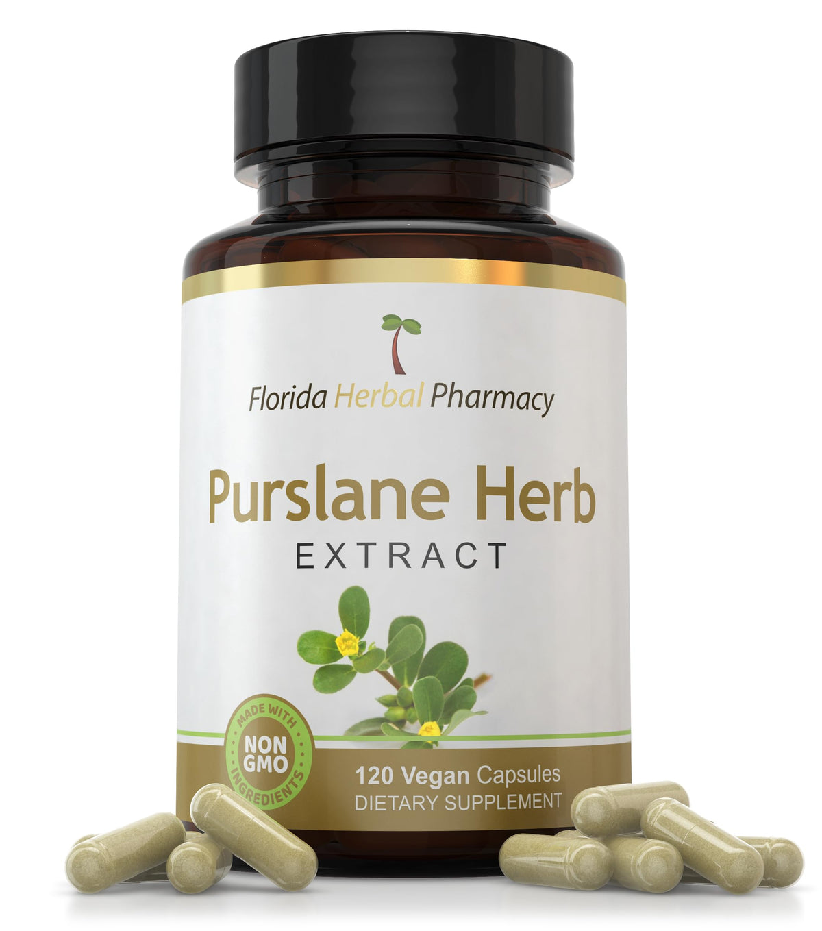 Florida Herbal Pharmacy Extrait de Pourpier 120 Capsules vue avant