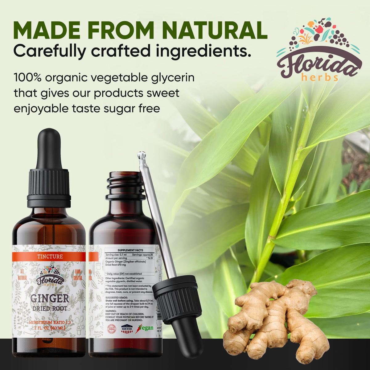 FLORIDA HERBS Teinture de Gingembre Bio avec gouttelette
