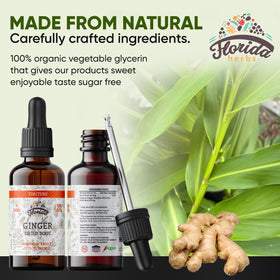FLORIDA HERBS Teinture de Gingembre Bio avec gouttelette