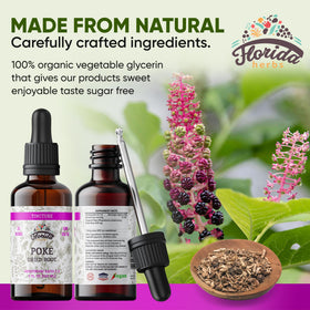 FLORIDA HERBS Teinture de Racine de Poke Bio 60 ml avec goutte