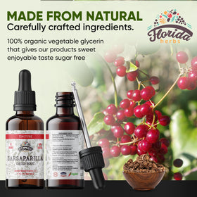 FLORIDA HERBS Teinture de Salsepareille Bio 2 oz avec gouttelette