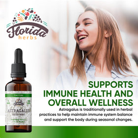 FLORIDA HERBS Tincture d'Astragale Bio 700 mg 60 ml flacon