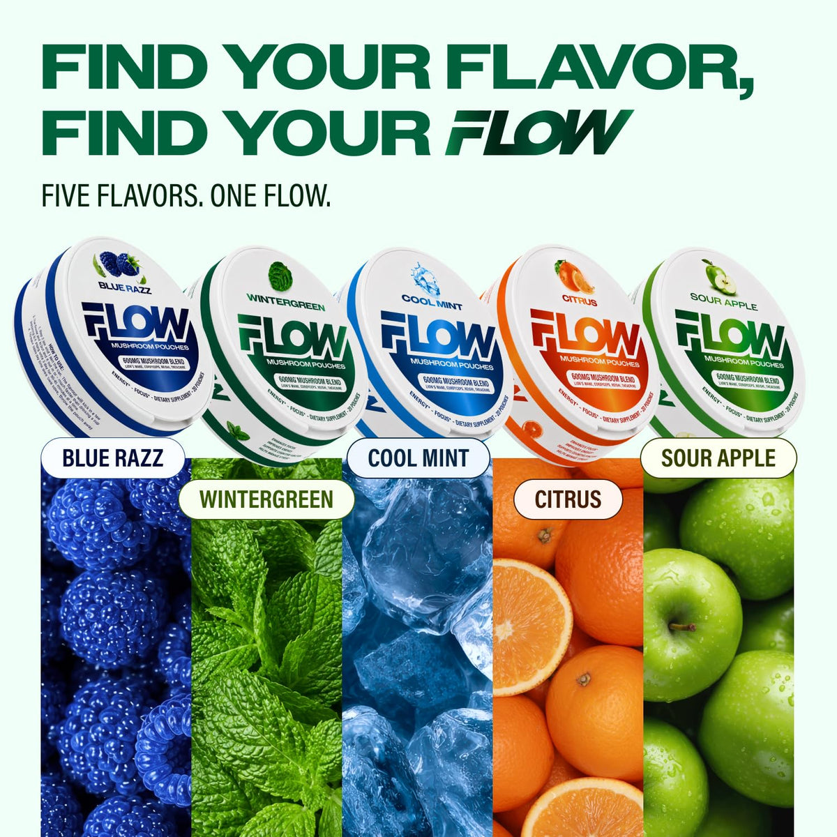 Flow Pouches Poche Nootropique 600mg Lion's Mane Reishi Cordyceps avec en arrière-plan un livre