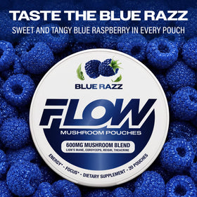 Flow Pouches Poches Nootropiques 600mg Lion's Mane Reishi Cordyceps - utilisation au bureau