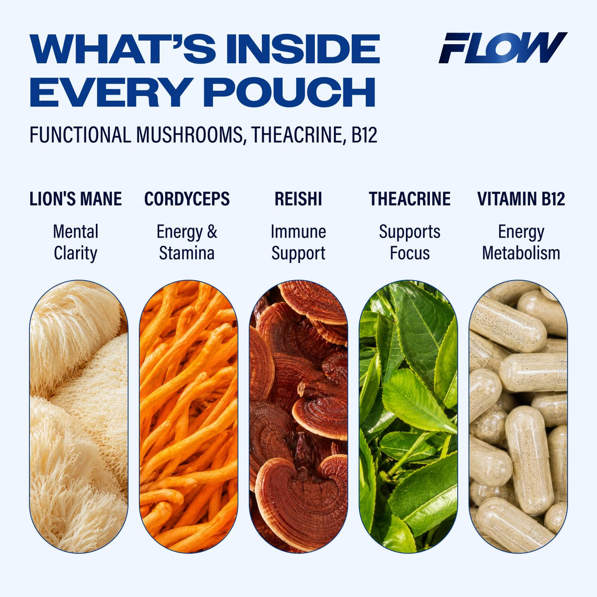 Flow Pouches Poches Nootropiques 600mg Lion's Mane Reishi Cordyceps - utilisation en étudiant